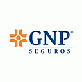 GNP